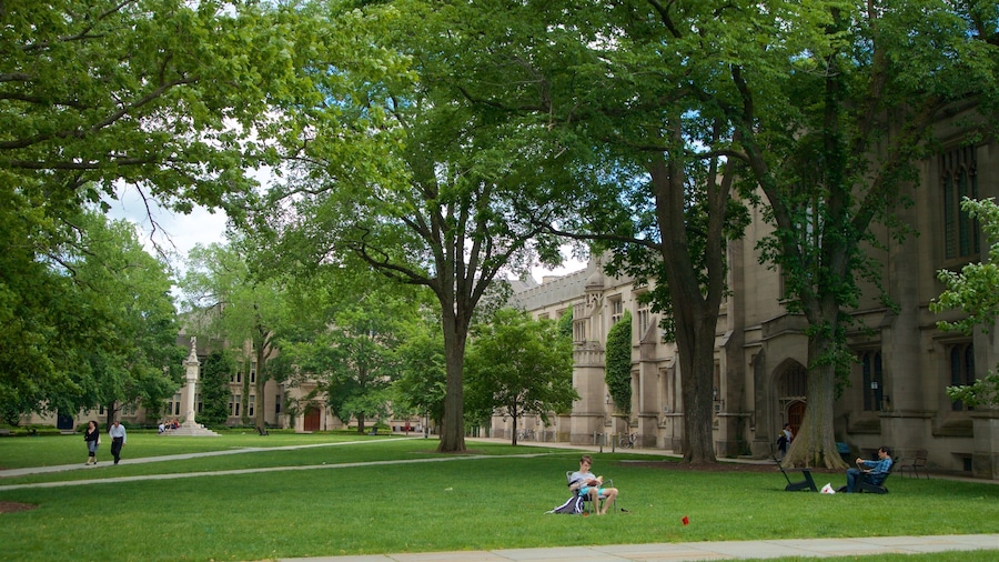 Princeton University showing a garden as well as a couple