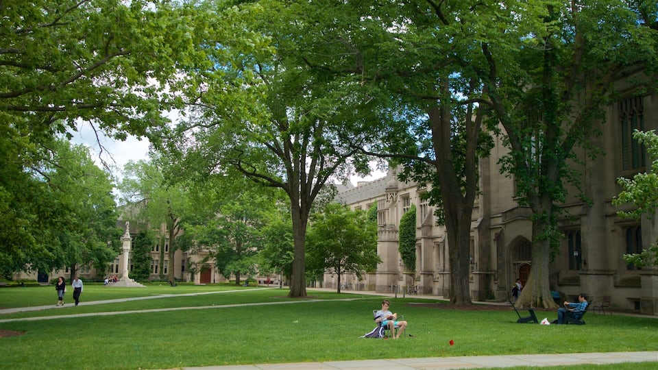 A grassy campus with large trees, a statue, and a building with arched windows.