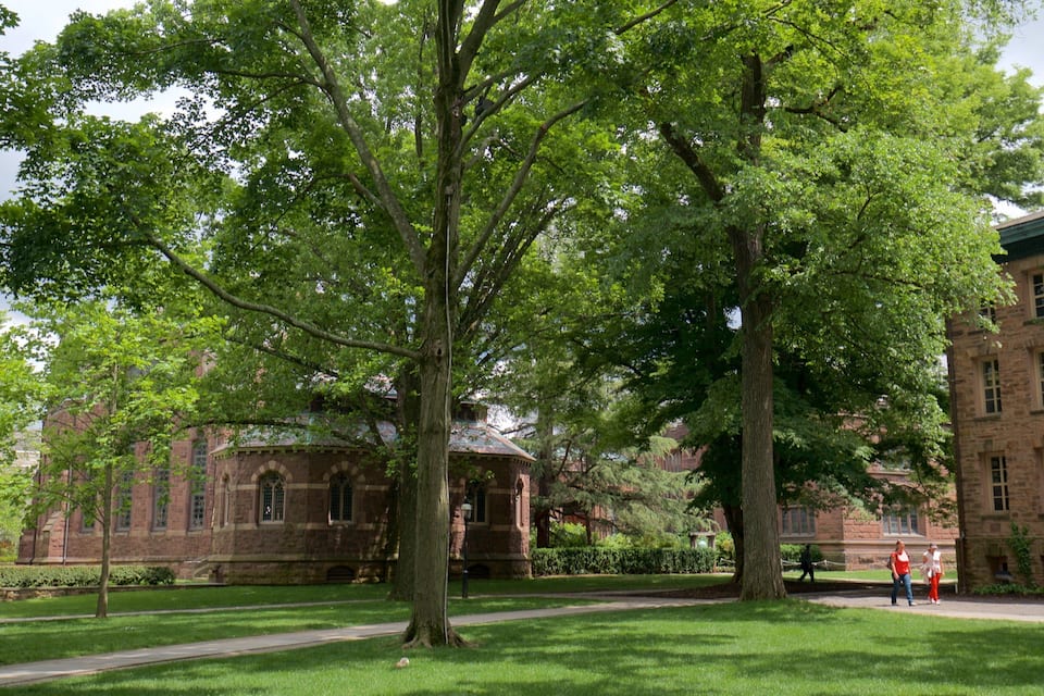 A historic building with a large tree in front.