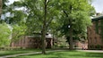 A historic building with a large tree in front.