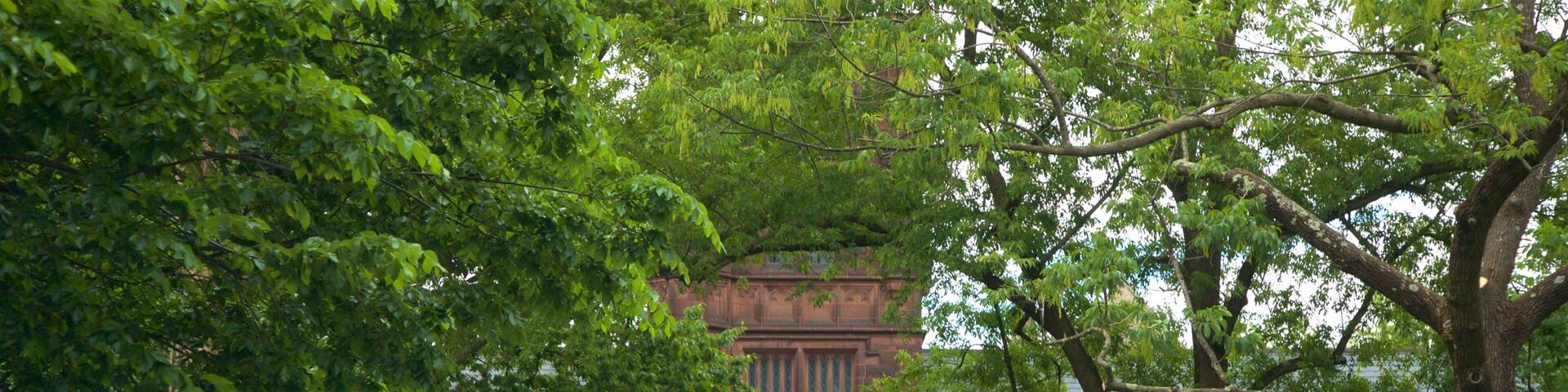 Princeton University mit einem Geschichtliches und Garten