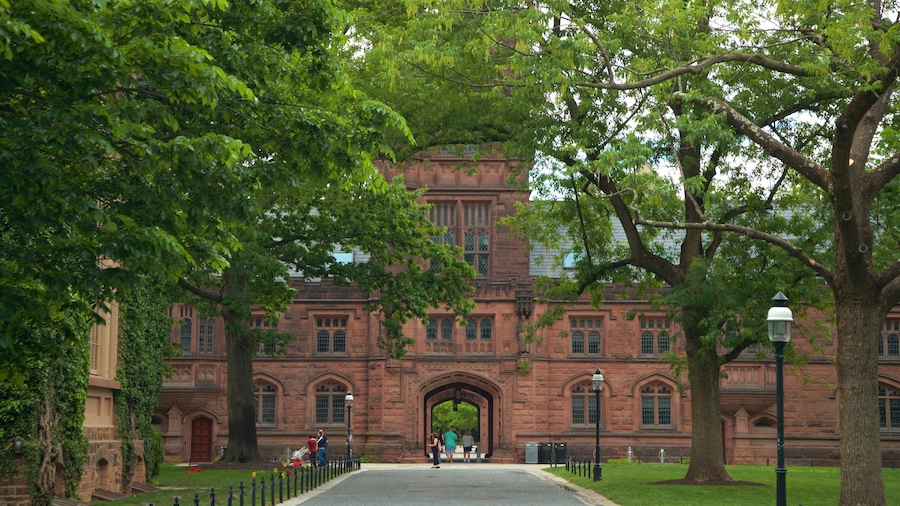 Princeton University showing heritage elements and a park