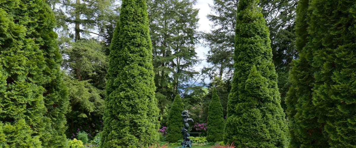 A formal garden with tall, manicured trees, a central statue, and well-maintained flower beds.