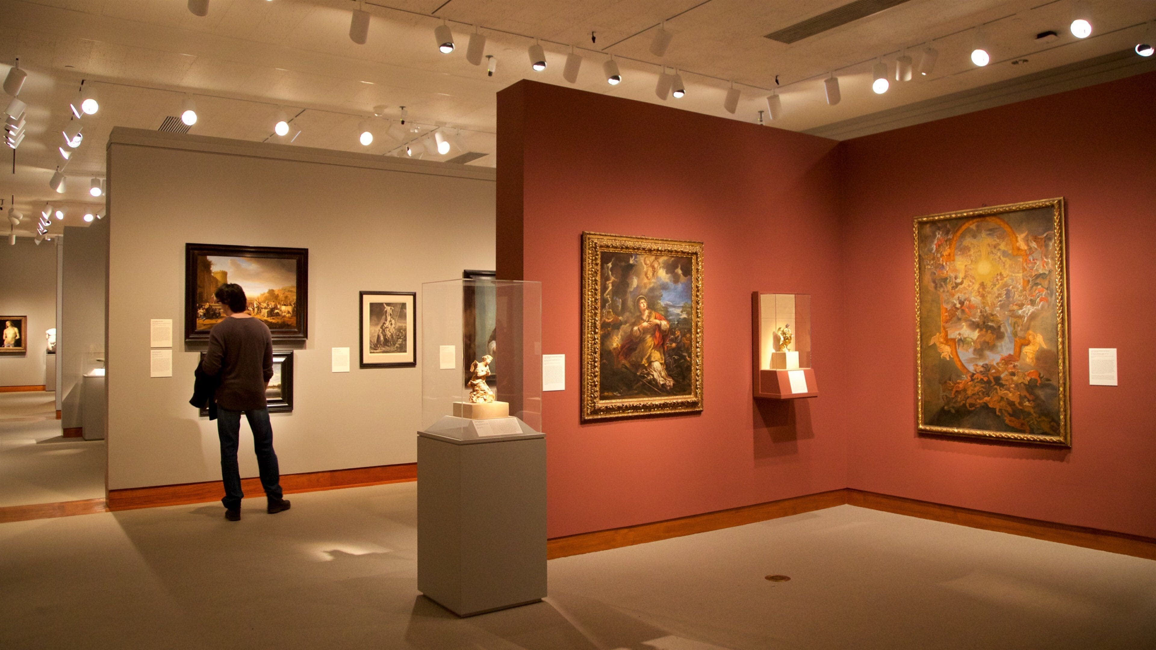 Princeton University Art Museum which includes interior views and art as well as an individual male