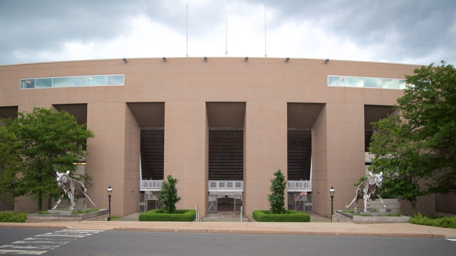 Princeton University Stadium showing outdoor art