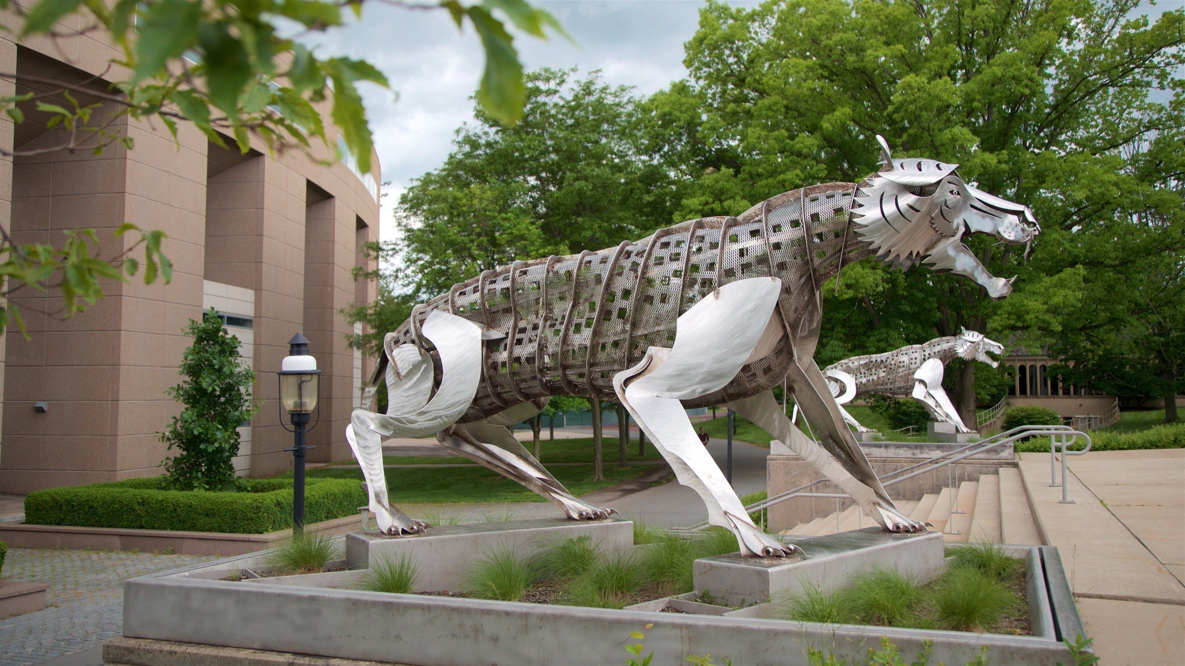 Princeton University stadion som inkluderer utendørs kunst