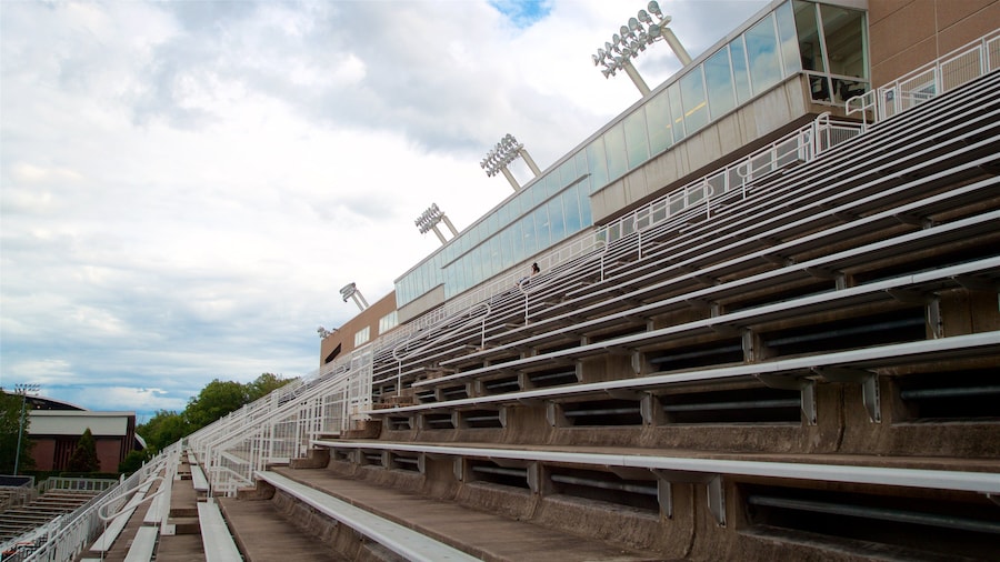 Princeton University Stadium