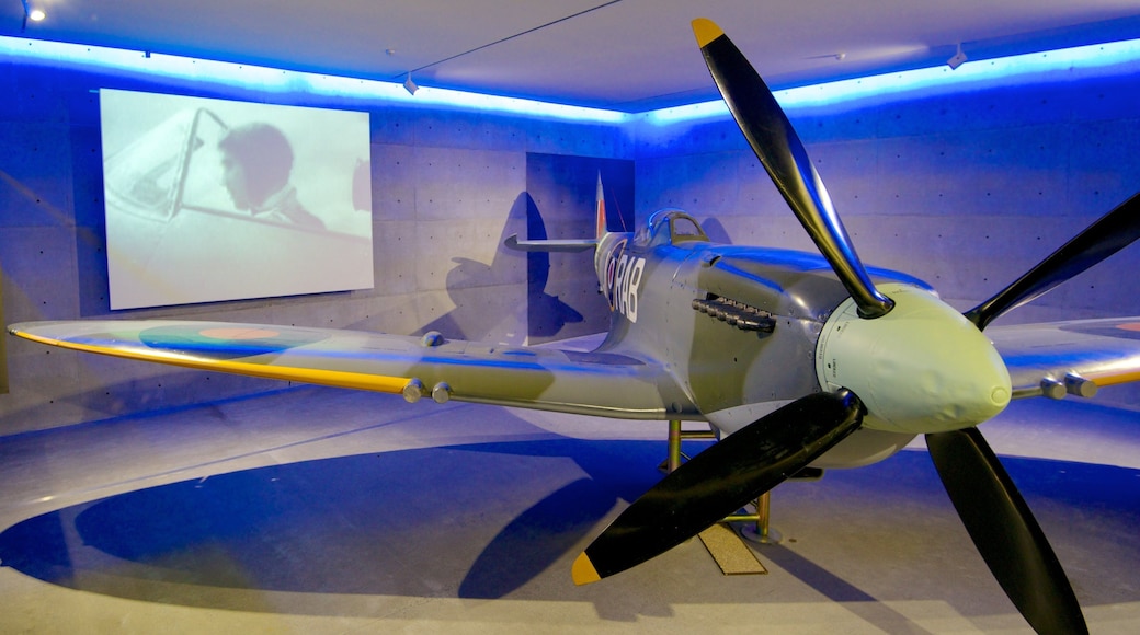 Auckland War Memorial Museum which includes aircraft and interior views