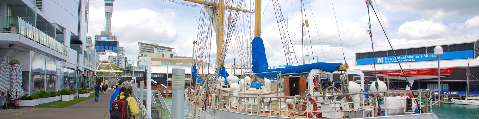 New Zealand National Maritime Museum showing a marina and sailing