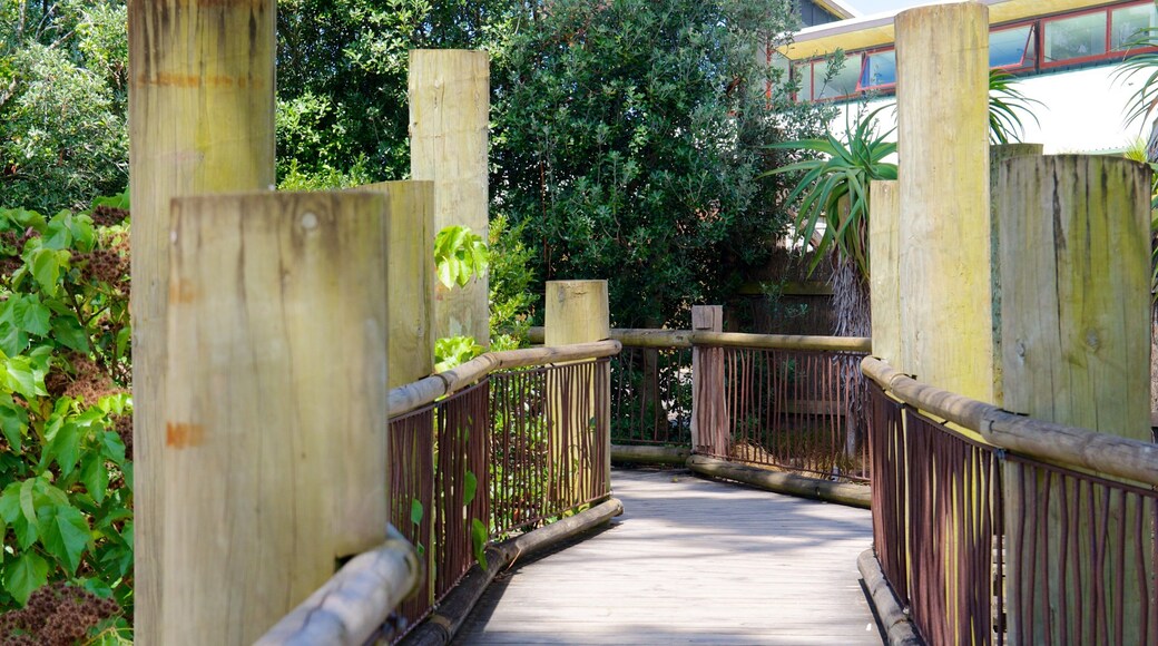 Auckland Zoo showing zoo animals
