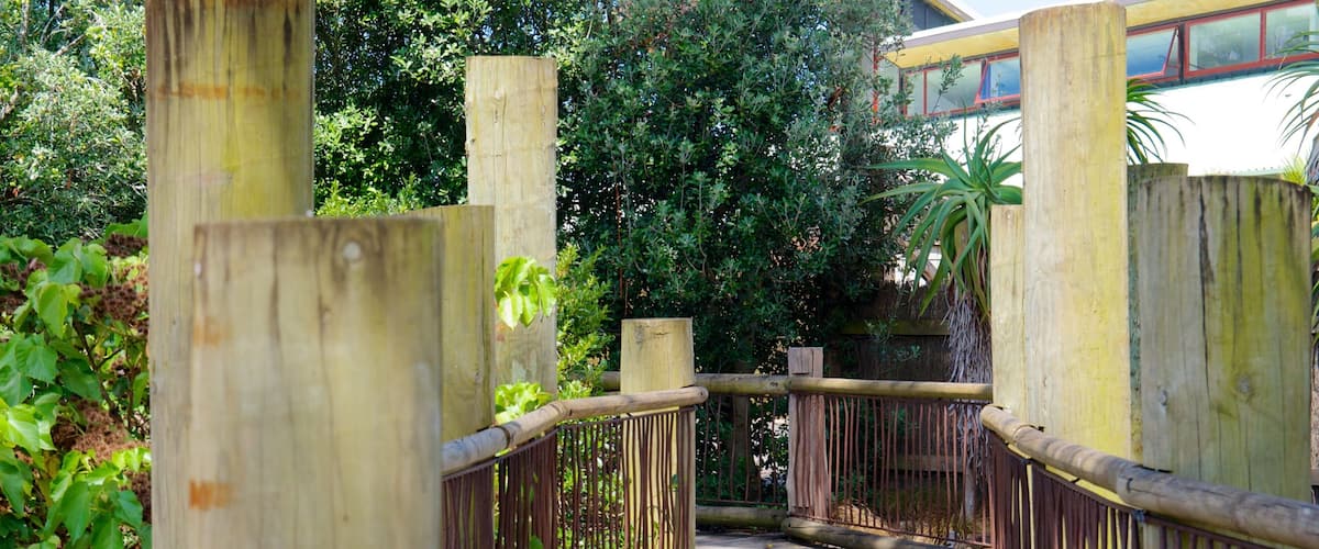 Auckland Zoo