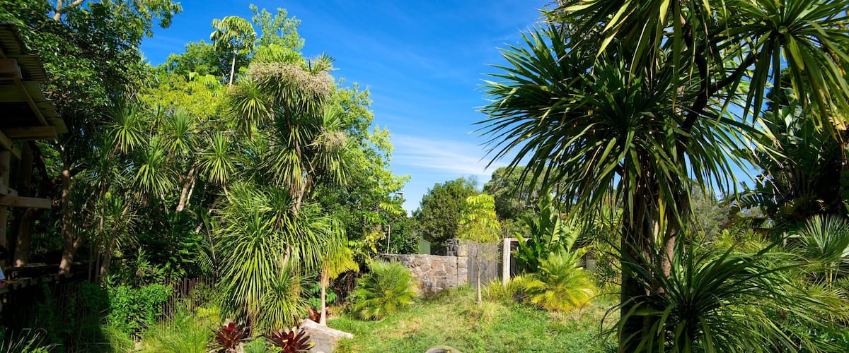 Auckland Zoo que incluye animales del zoo y un jardín