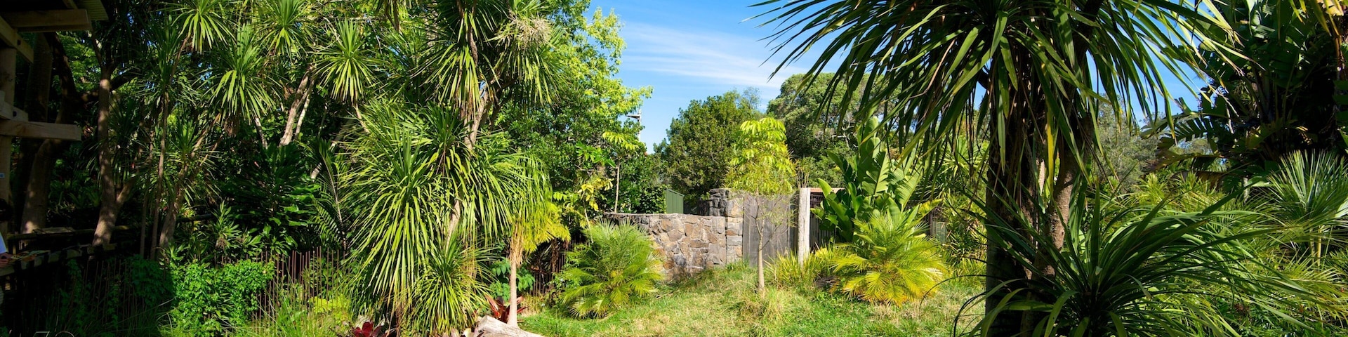 Auckland Zoo mostrando animales de zoológico y jardín