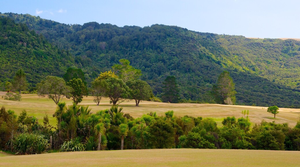 Waitakere Ranges som viser skoglandskap og landskap