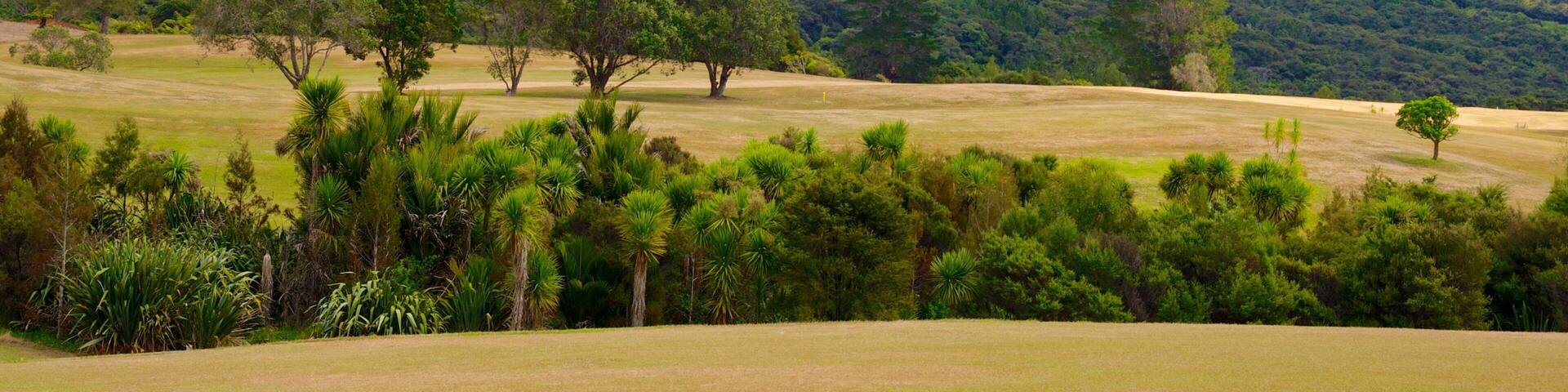 Waitakere Ranges qui includes panoramas et forĂȘts