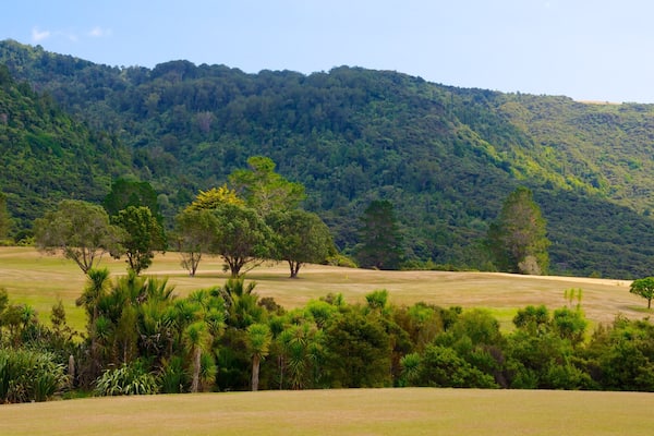 Waitakere Ranges qui includes panoramas et forĂȘts