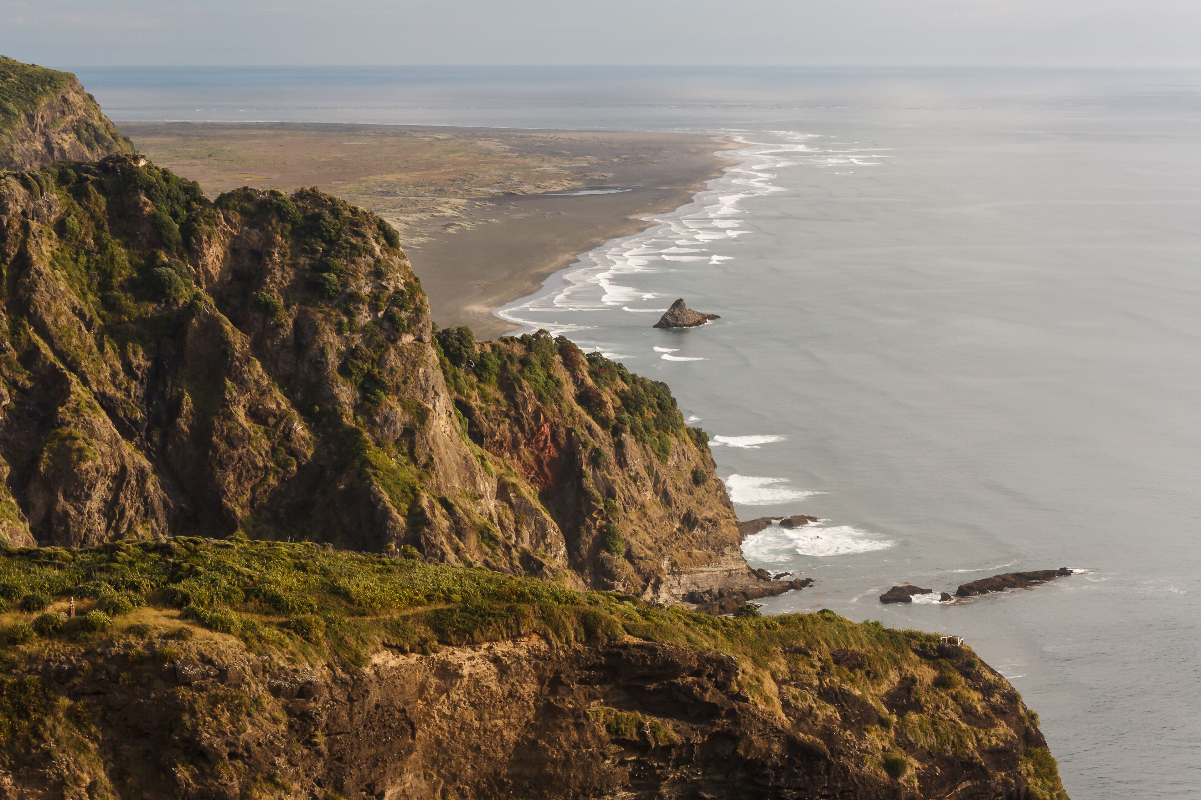 aerial view of coast at Waitakere Ranges