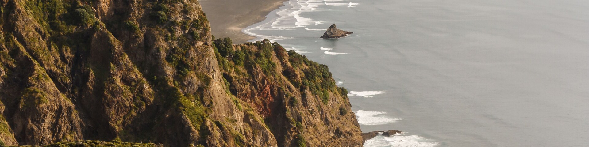 aerial view of coast at Waitakere Ranges