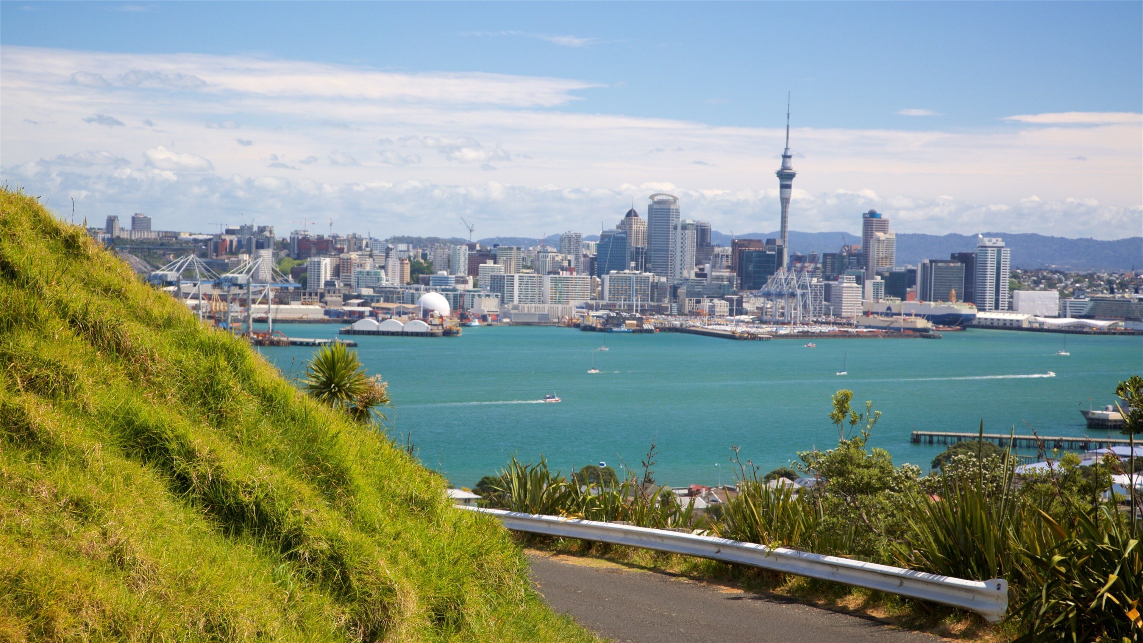 Mount Victoria mostrando baia e porto e città