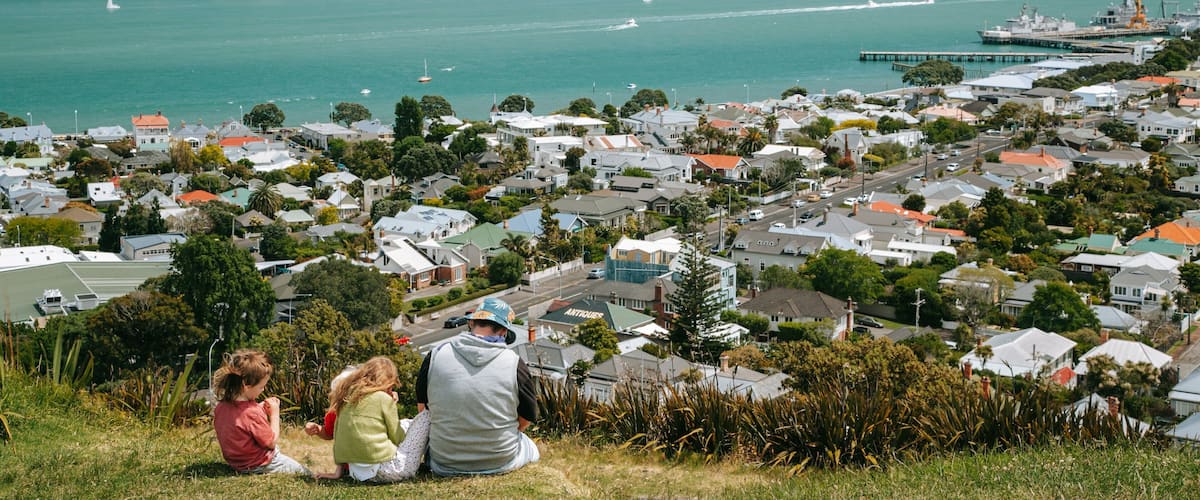 Mount Victoria which includes views, a city and landscape views
