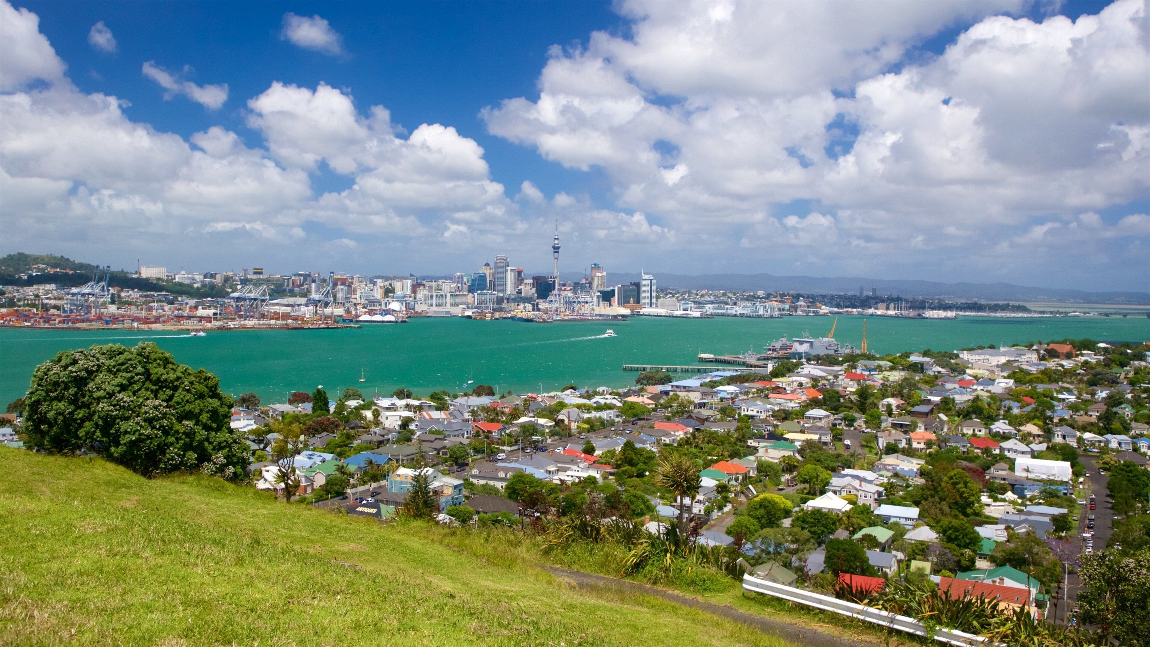 Mount Victoria som viser by, kystby og kyst