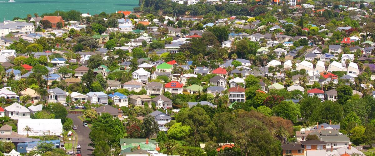 Mount Victoria showing landscape views, a city and a bay or harbour