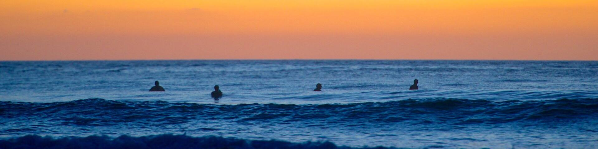 Piha Beach which includes skyline, a beach and landscape views
