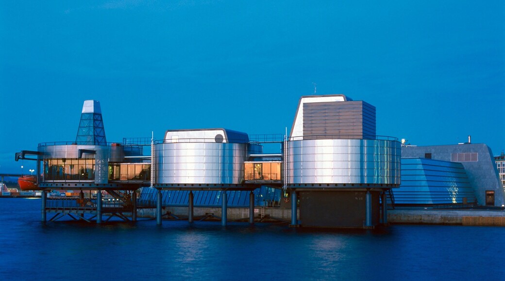 Norwegian Petroleum Museum featuring a city, a coastal town and modern architecture