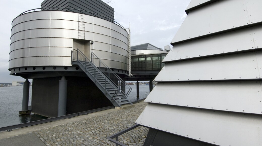 Musée norvégien des hydrocarbures mettant en vedette architecture moderne