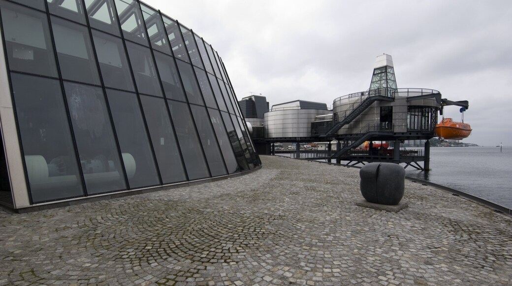 Musée norvégien des hydrocarbures qui includes architecture moderne