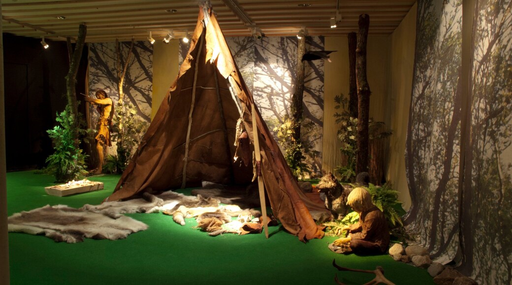 Musée archéologique mettant en vedette vues intérieures