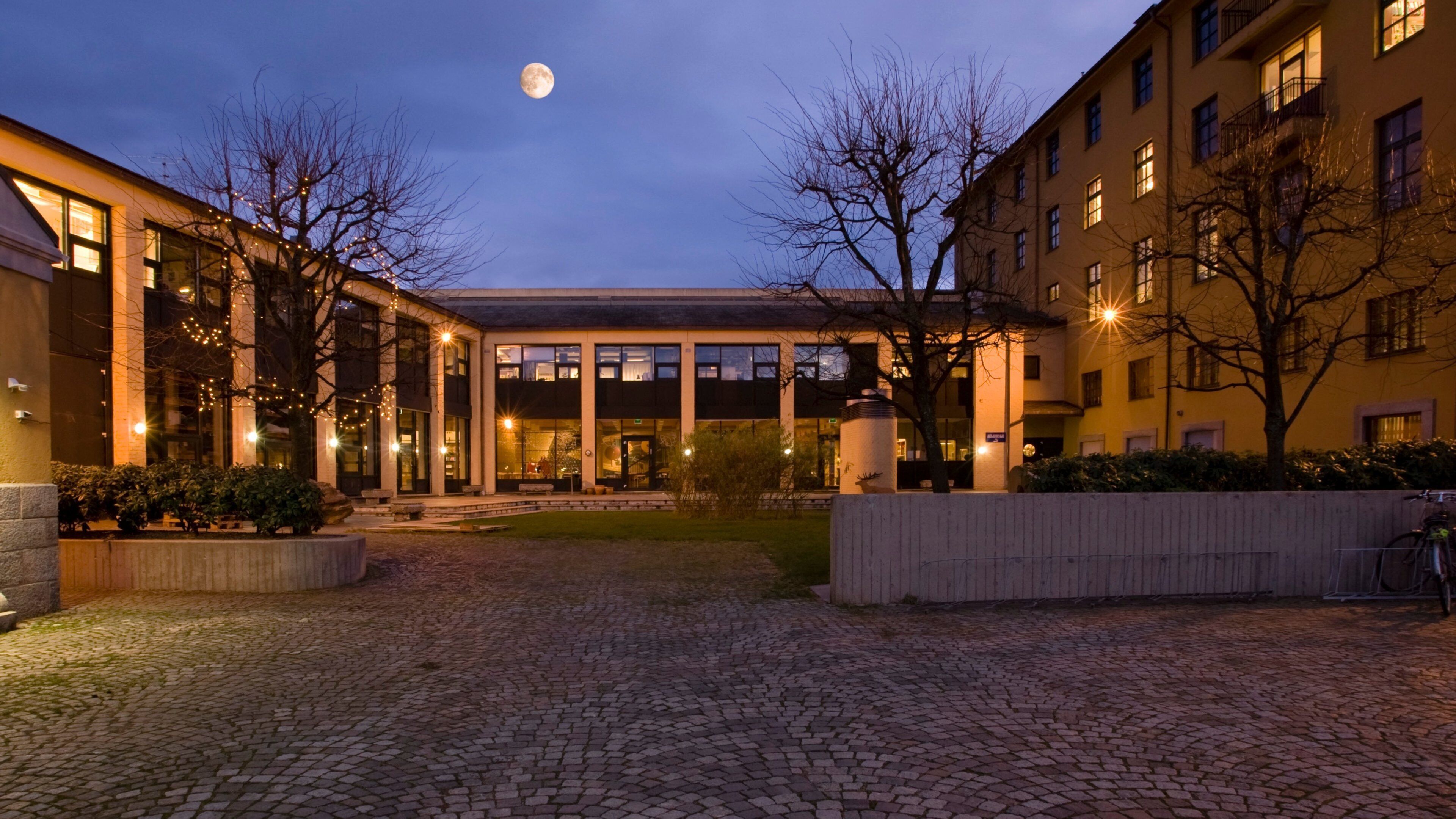 Museum of Archaeology showing night scenes