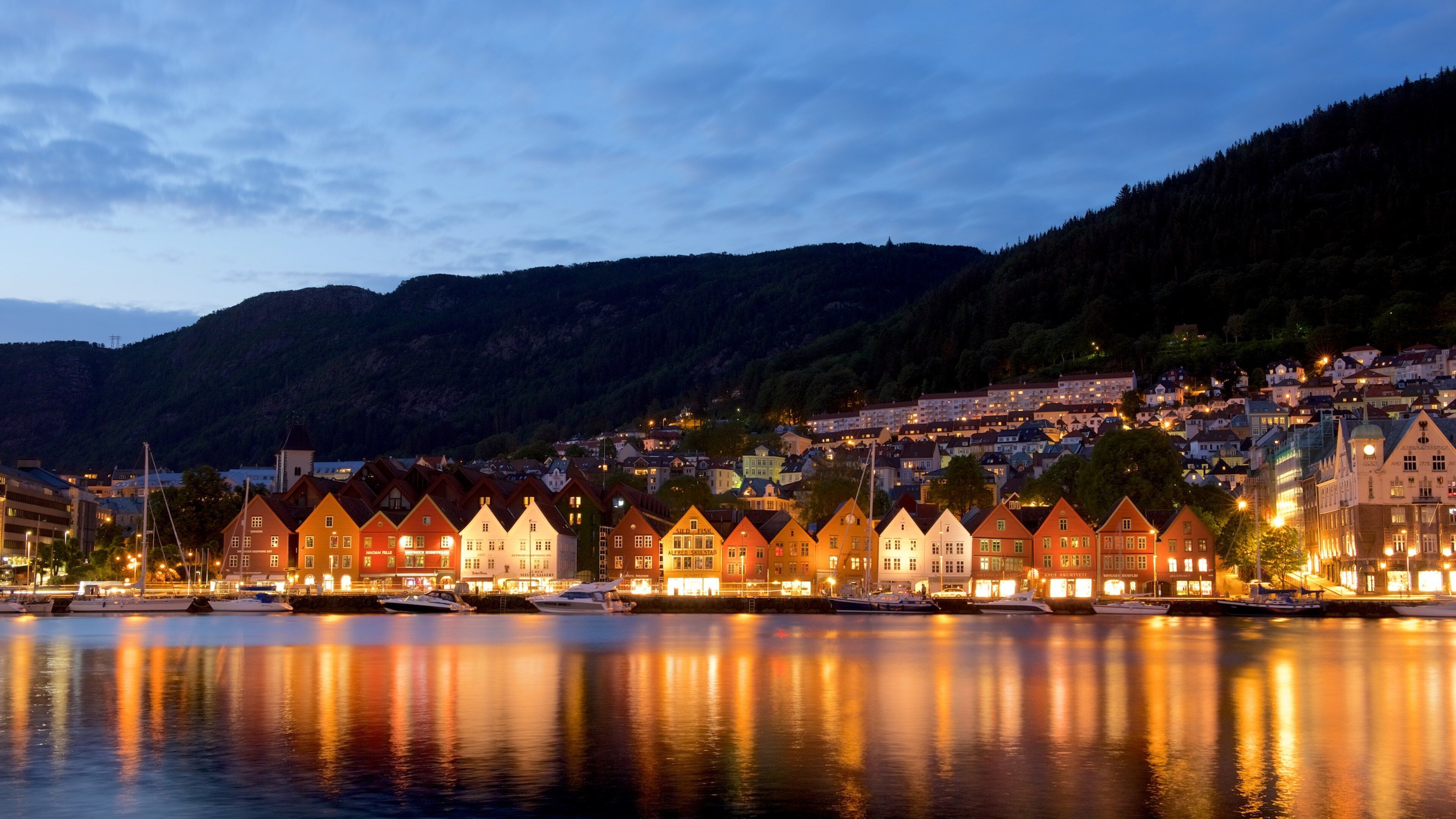 A waterfront town with traditional houses and boats docked along the shore.