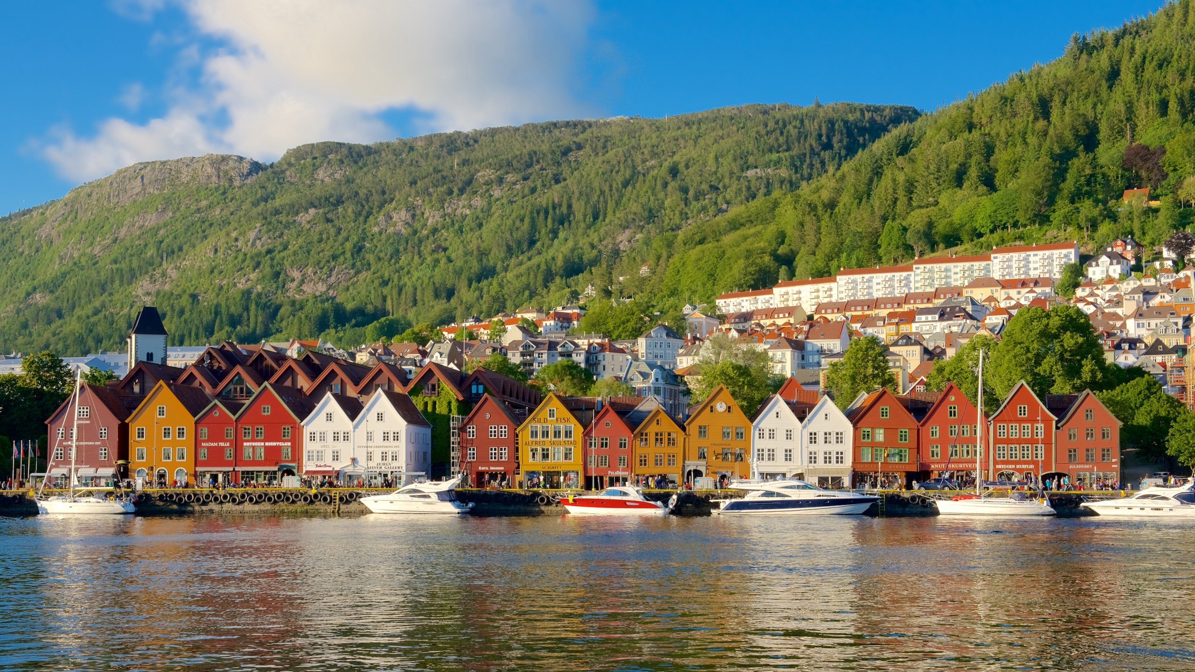 Bryggen featuring boating, general coastal views and a small town or village