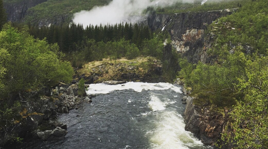 Happened to drive through by accident. Noticed a couple of German tour buses turning right by the viewpoint sign and decided to follow. No disappointment: the waterfall is incredibly high, one of the most impressive I've seen in Norway! (And I've seen hundreds of various heights) It actually makes your head spin. The picture is the one of the mountain river slightly to the left from the actual waterfall; it is so grand one can't even take a panorama pic. Didn't climb up to the viewpoint on the top-no need. The power of the water is well felt from viewpoint by the bus stand.