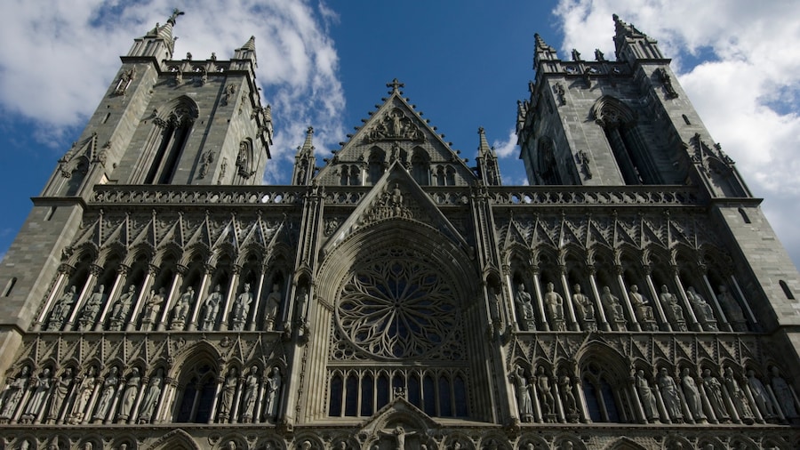 Nidaros Cathedral showing religious aspects, a church or cathedral and a city
