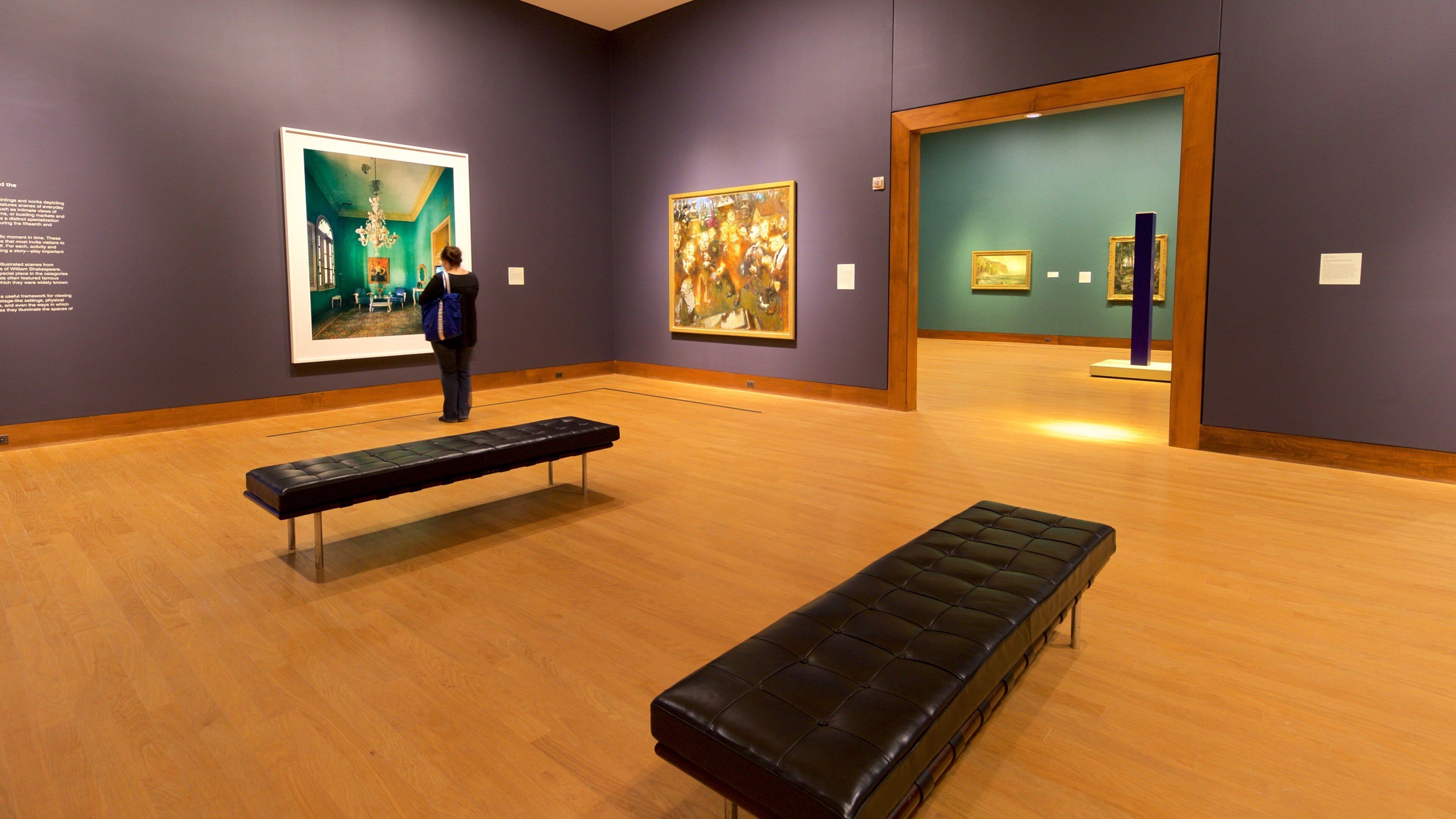 Oklahoma City Museum of Art mostrando arte e vistas internas assim como uma mulher sozinha