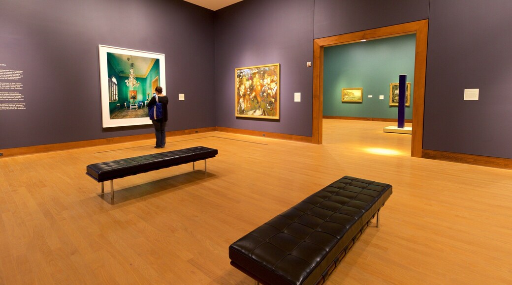 Oklahoma City Museum of Art mostrando arte e vistas internas assim como uma mulher sozinha