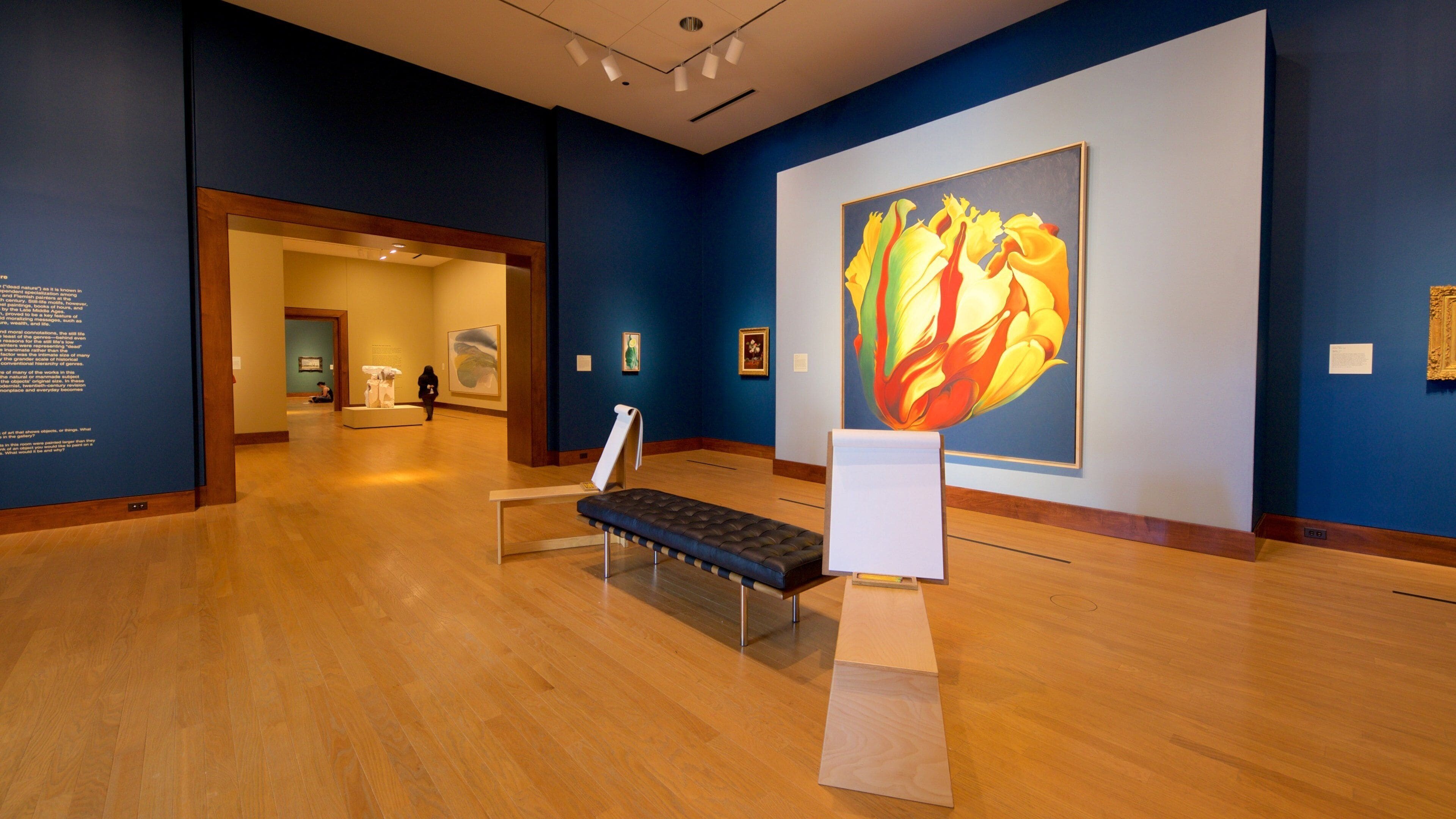 Oklahoma City Museum of Art