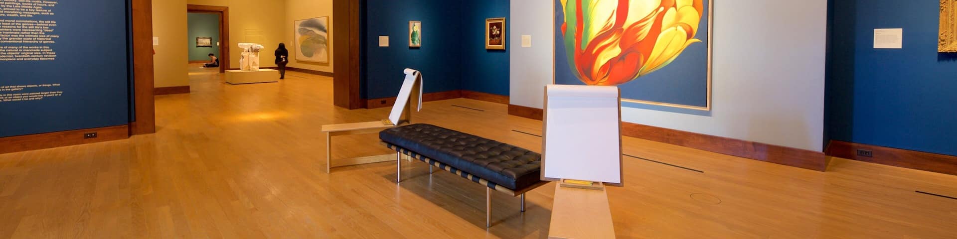 Oklahoma City Museum of Art featuring interior views and art