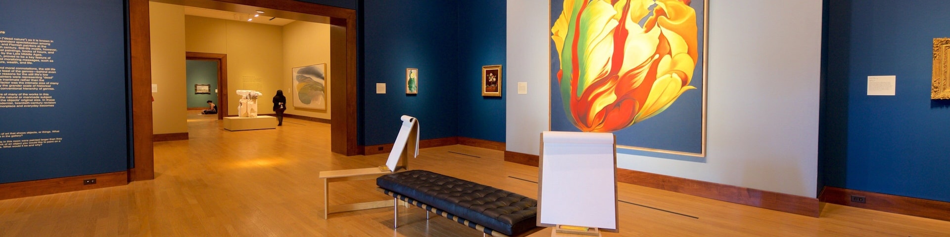 Oklahoma City Museum of Art que inclui vistas internas e arte