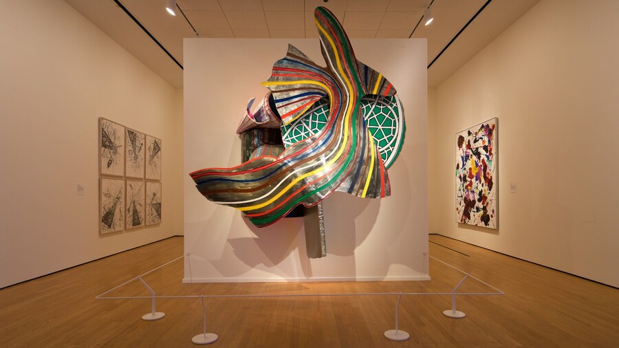 Oklahoma City Museum of Art showing interior views and art