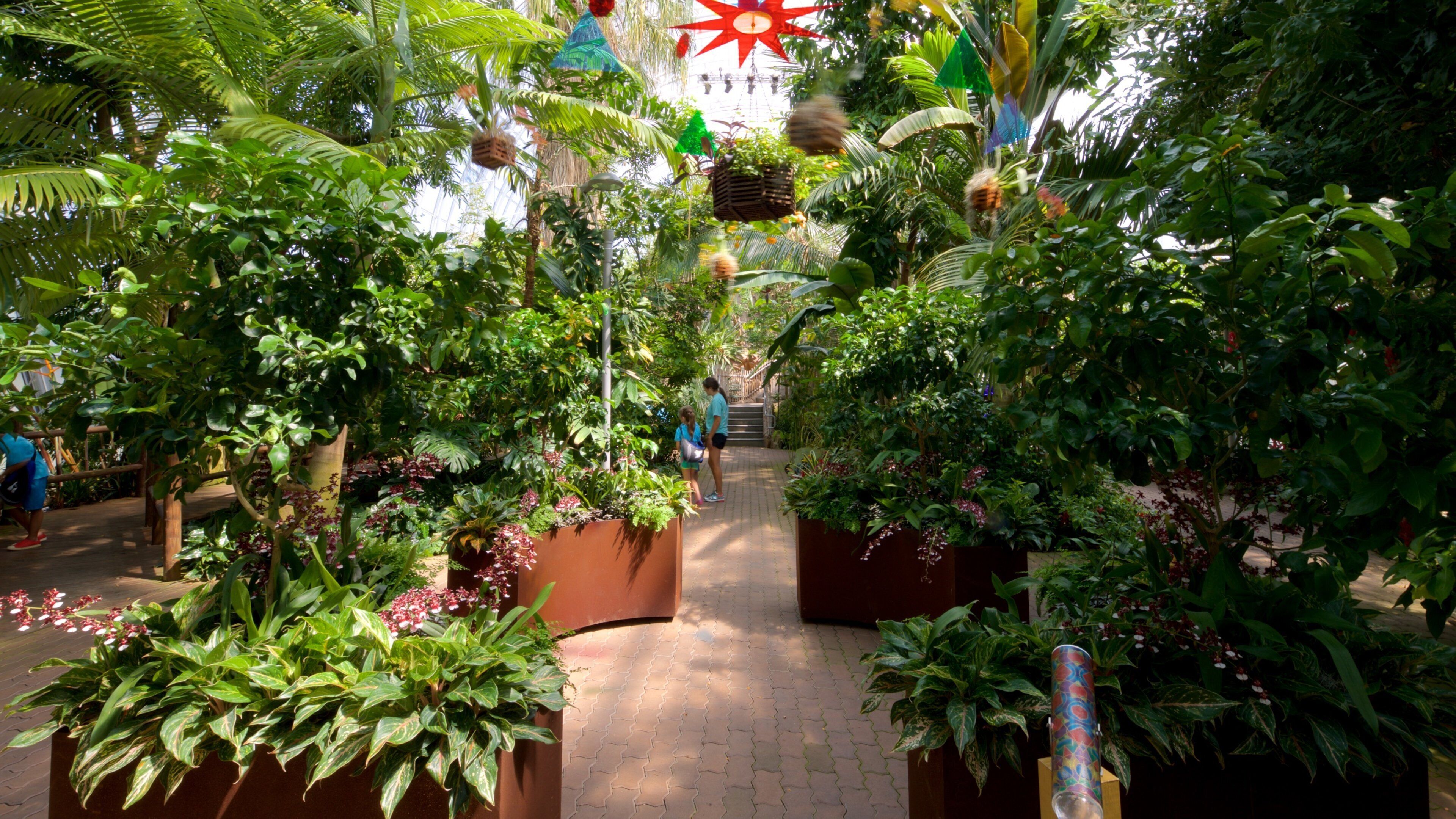 สวนพฤกษชาติ Myriad แสดง สวน