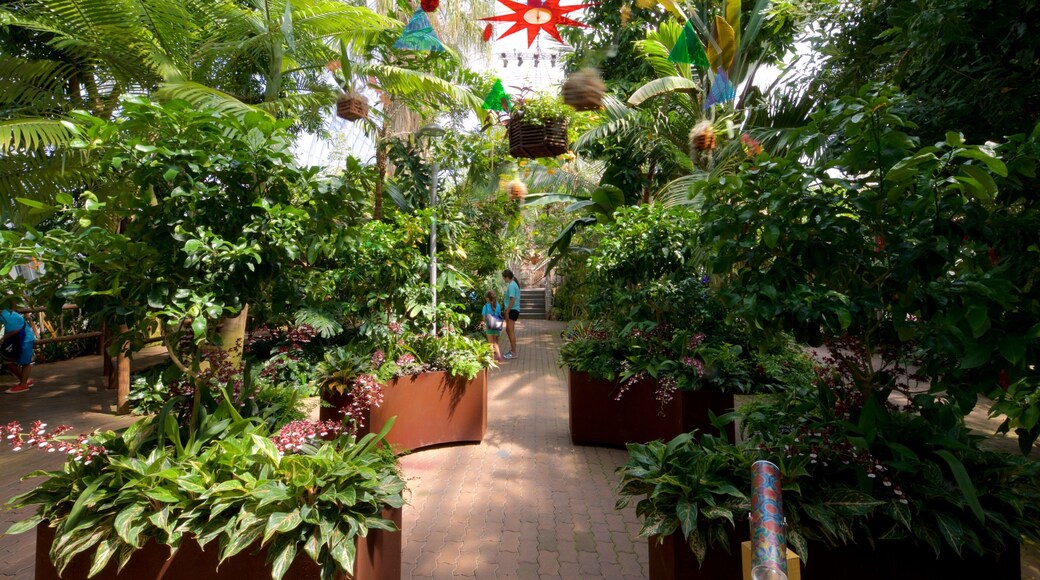 Myriad Botanical Gardens ofreciendo un parque