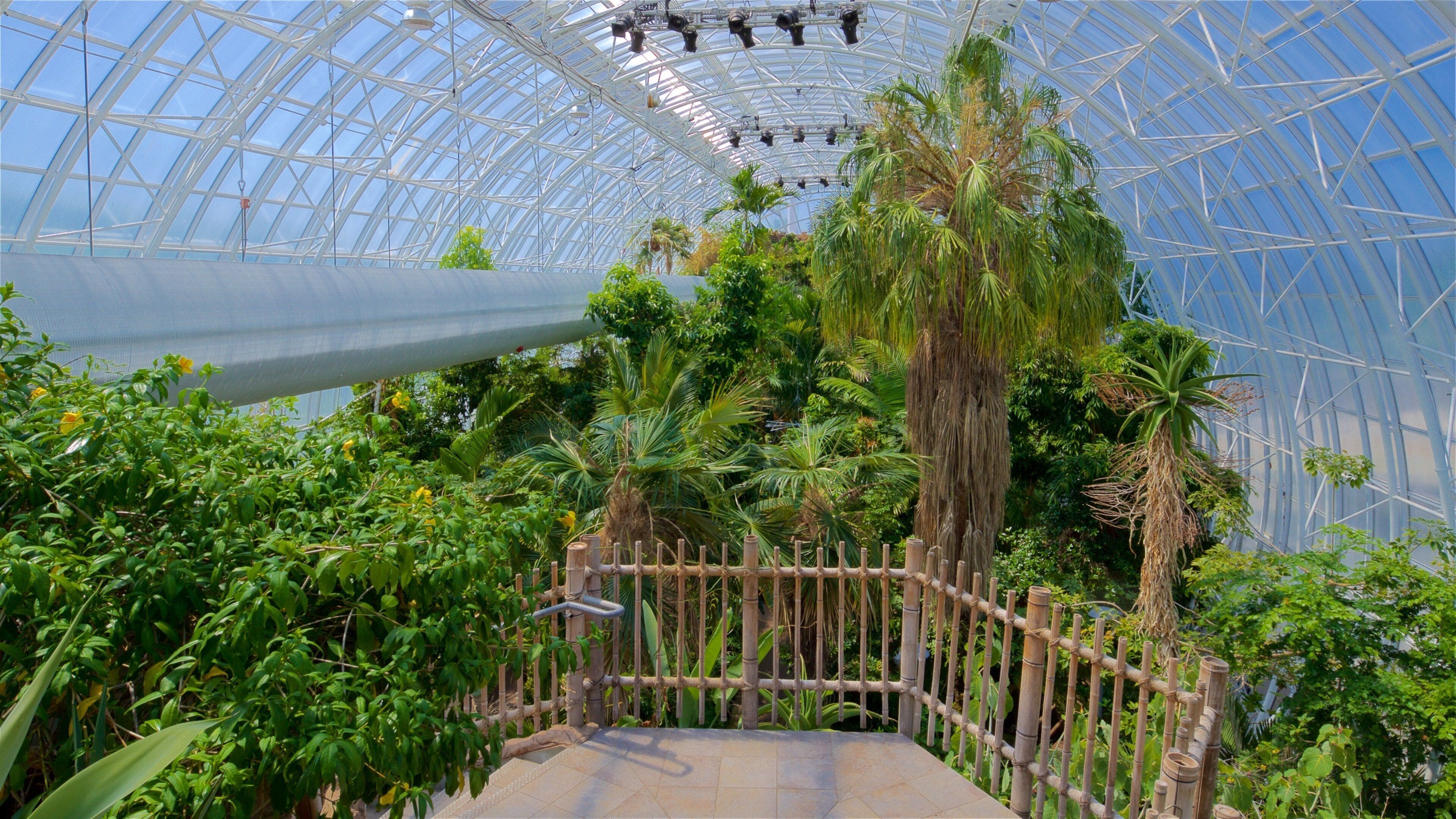 Myriad Botanical Gardens which includes interior views and a park