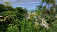 ミリアド植物園