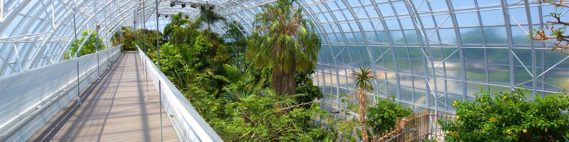 Myriad Botanical Gardens showing a park and interior views