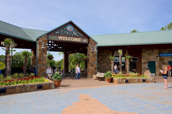 Oklahoma City Zoo featuring kyltit