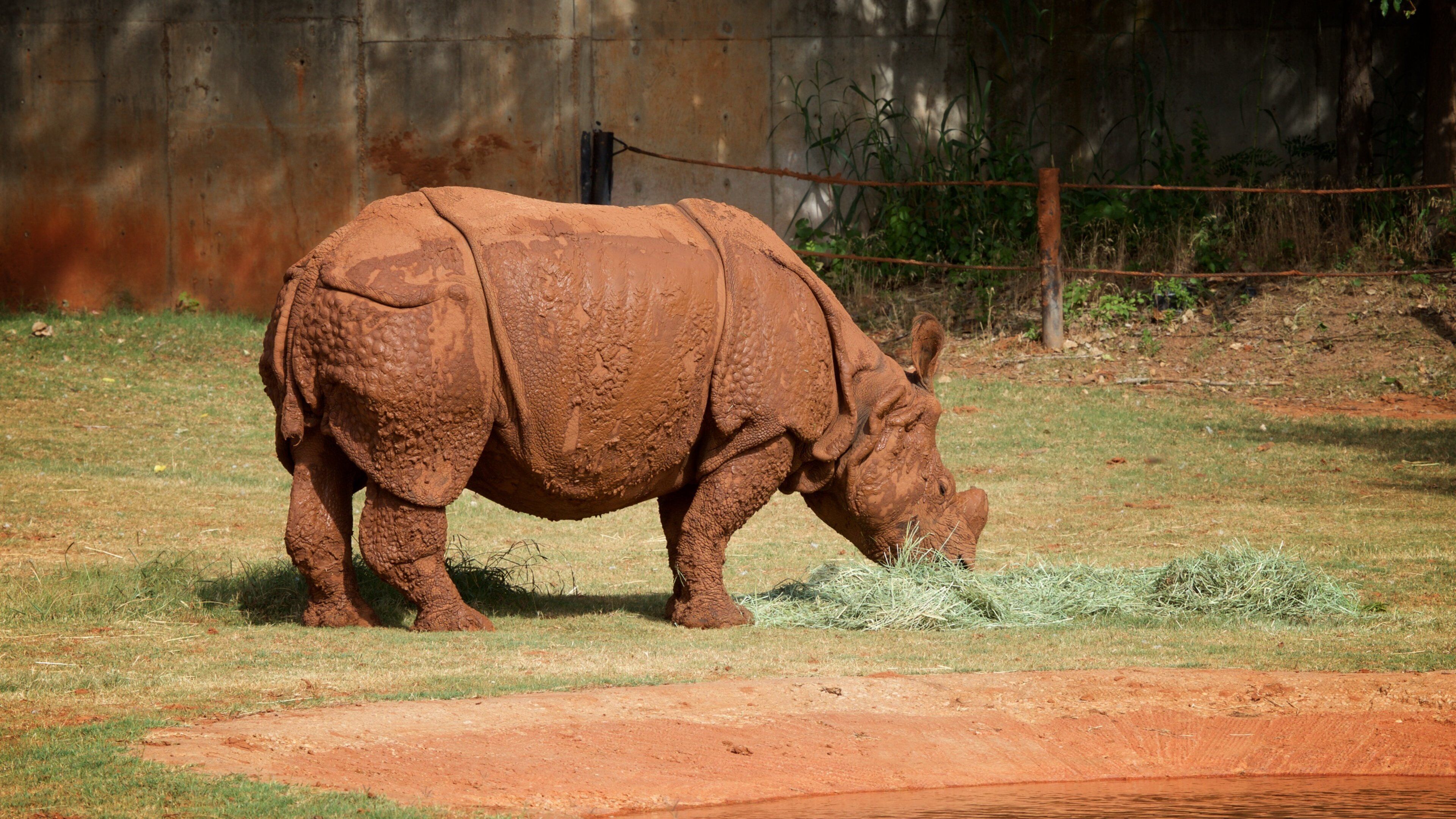 Oklahoma City Zoo som visar farliga djur, landdjur och zoodjur
