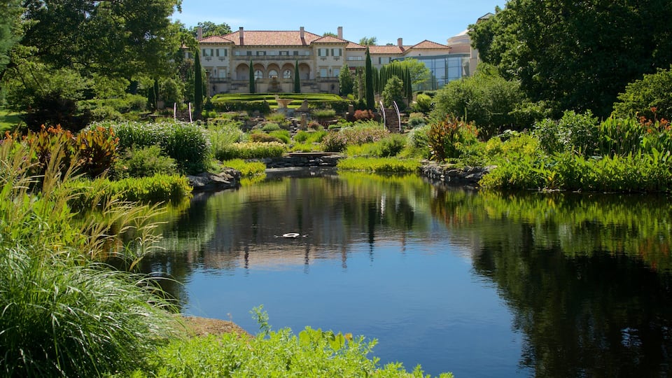 A serene pond with a swan, surrounded by lush greenery and a grand building in the background.